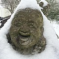 I laugh in the face of the elements