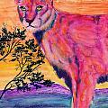 Pink Lion
